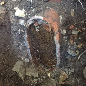 Warriewood blocked drain problem                                    